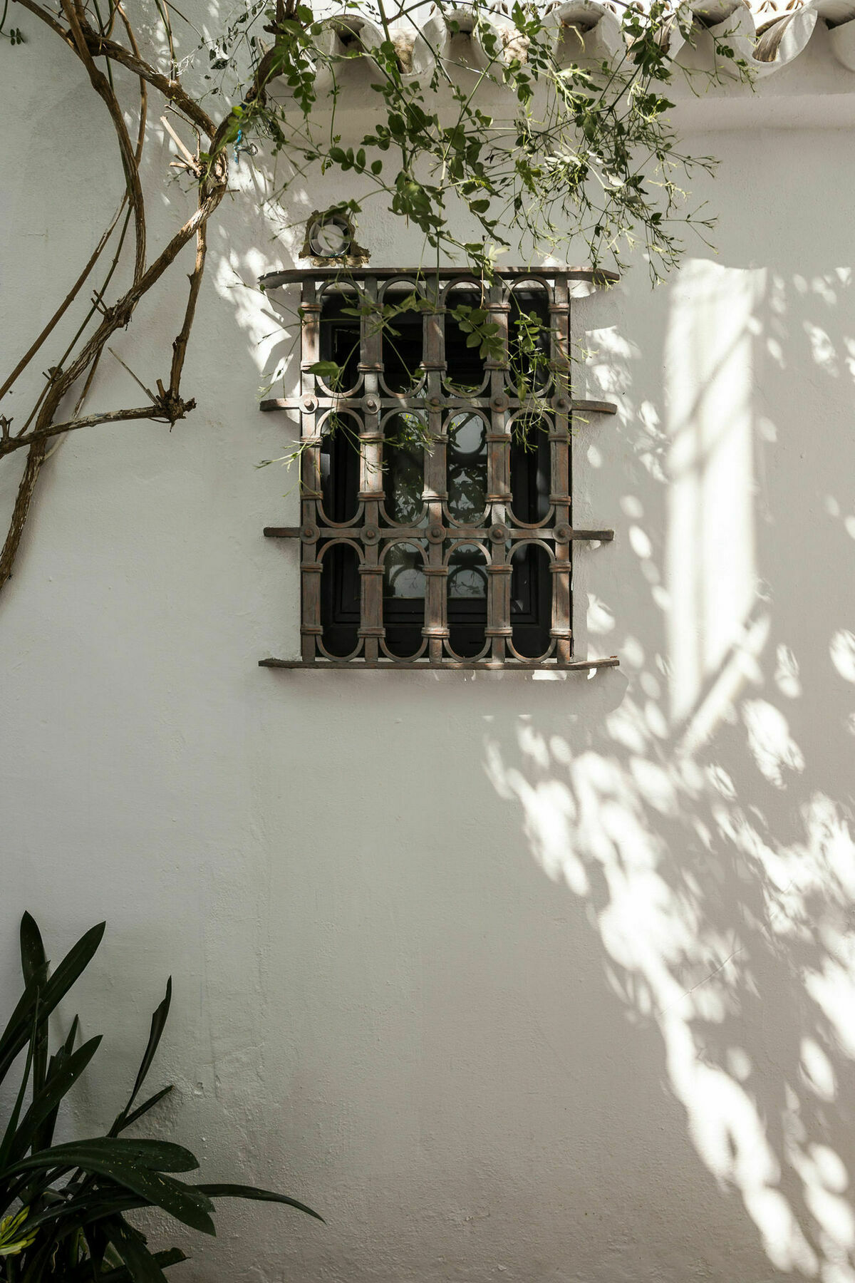 Selecta Apartments Los Venerables Sevilla Eksteriør billede