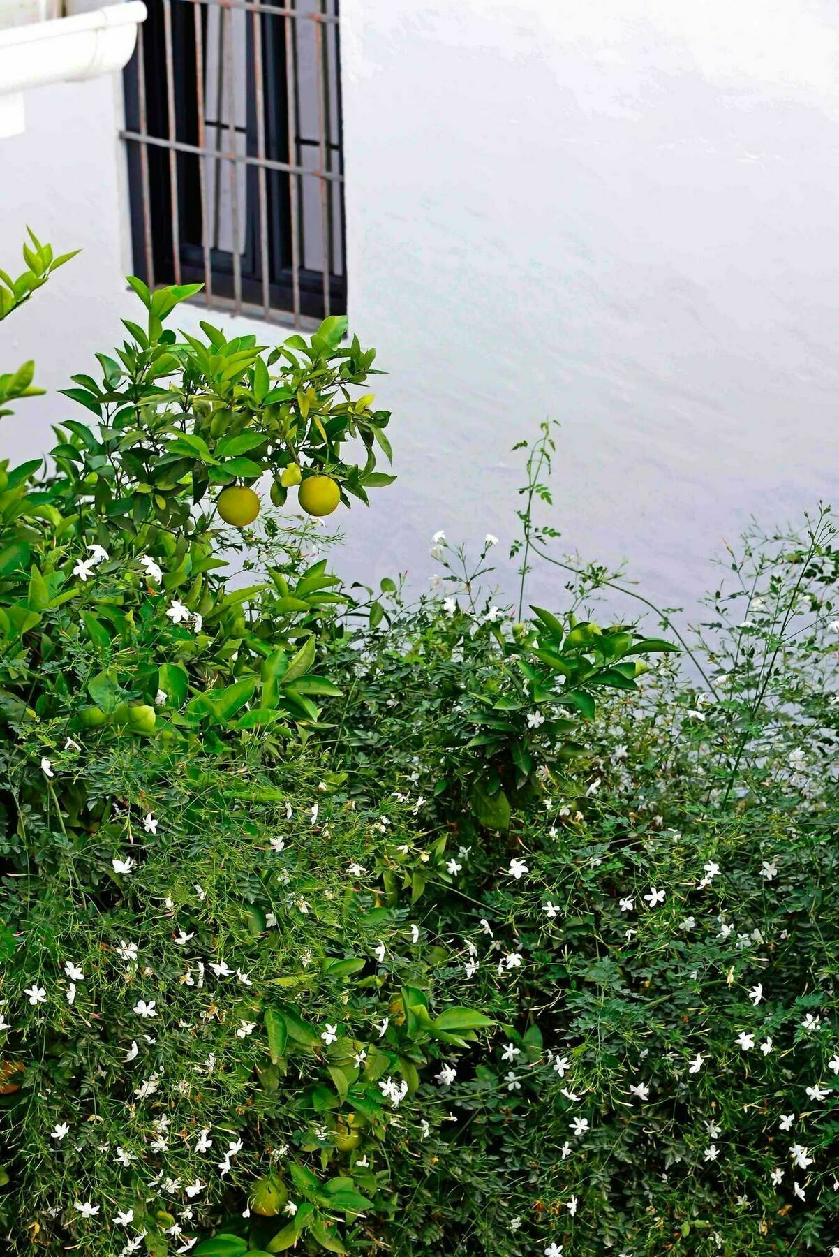Selecta Apartments Los Venerables Sevilla Eksteriør billede
